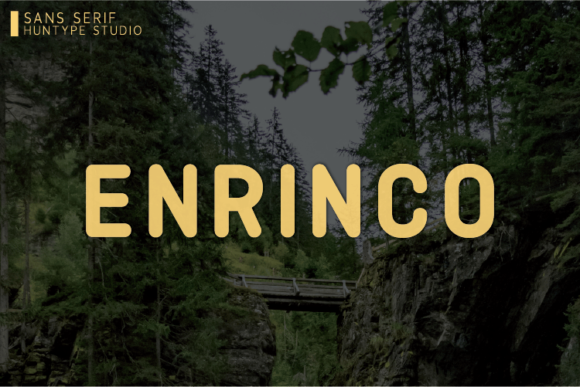 Enrinco: A Bold Sans Serif Font for Editorial Projects