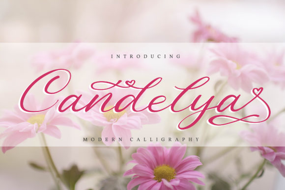 Exploring Candelya: A Real-World Campaign Review for a Delicate Handwritten Font