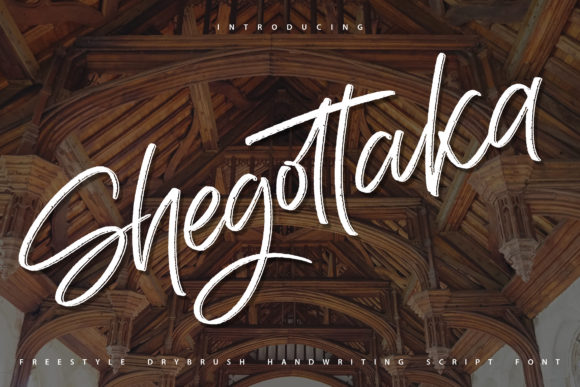 Shegottaka: A Trendy Handwritten Font for Campaigns