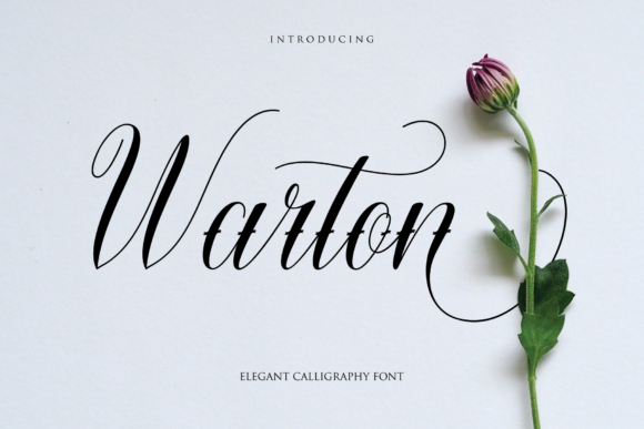 Warton: The Elegant Script Font for Distinctive Business Branding
